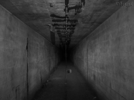 IMG_4107 light długi